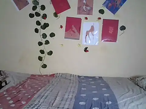 Nadama webcam