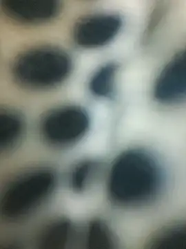 hook9sex live sex cam