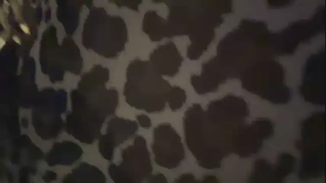 Bella_Pascualina webcam