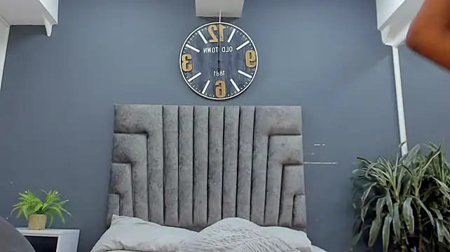 Robin_Rief webcam