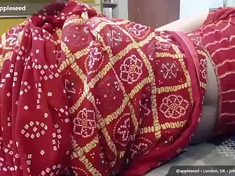 manustripjob webcam