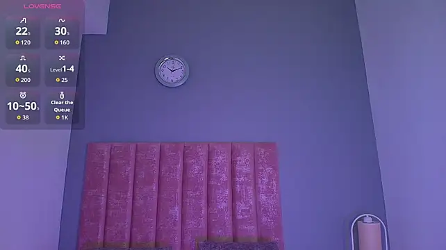 MegaCollins webcam