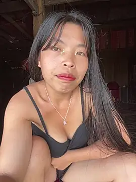 Hikomy- webcam