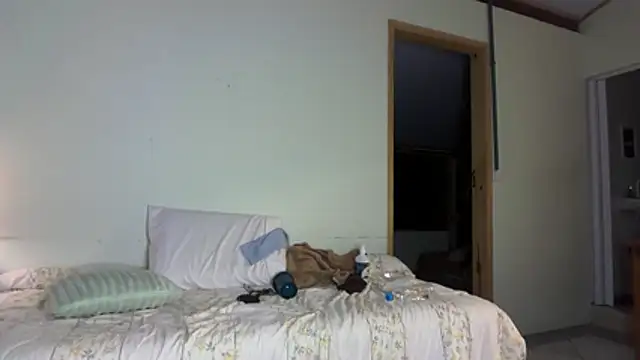 deusaludovica webcam