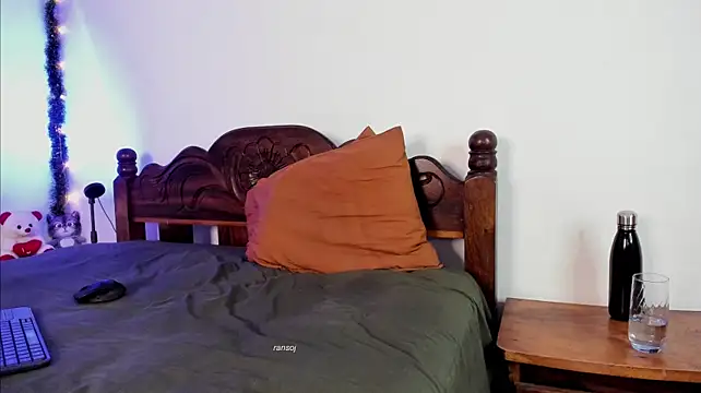 ransoj webcam