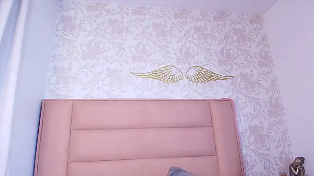 Fryeren webcam