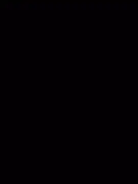RinNox webcam