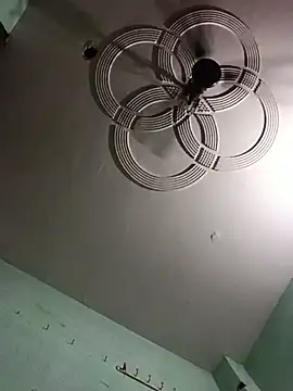 Model-031 webcam