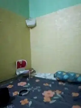 Voiva11 webcam