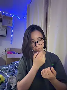 FeliceCat webcam