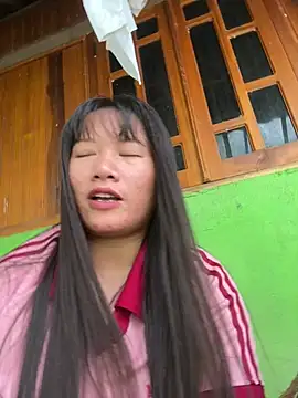 Zully- webcam