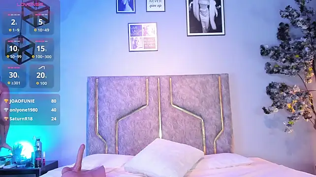 Anyconnor webcam
