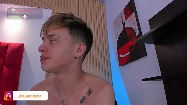 LiamWildx20 webcam