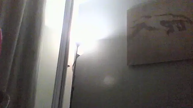 Avamereandmikel webcam
