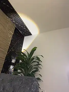 Lander_Cruz's live cam