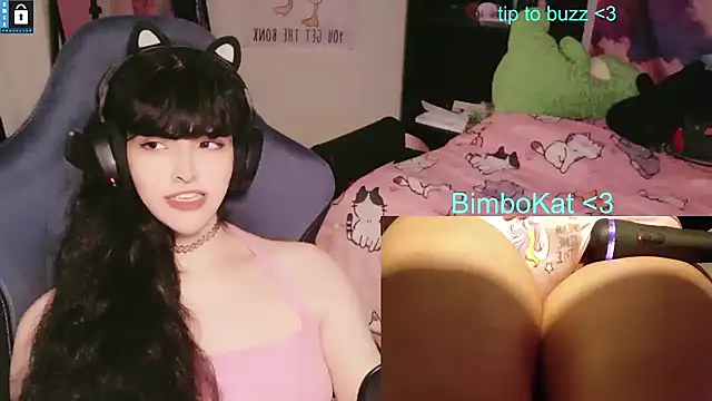 BimboCat webcam