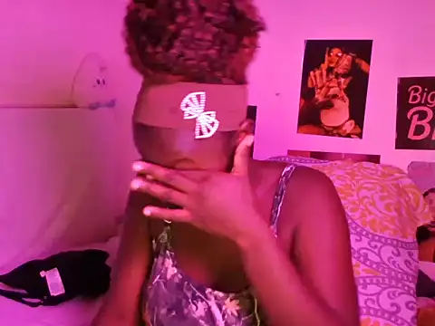 Aria_ah webcam