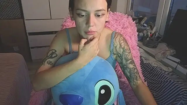 Kisi_misi webcam