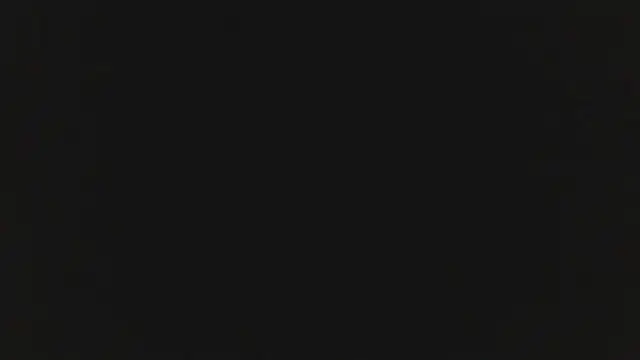 PrymeTime webcam