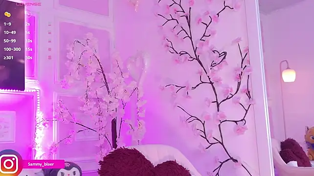 Sammyblaer webcam