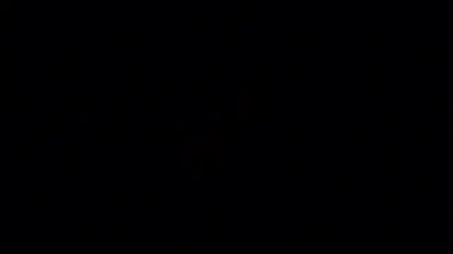 flowernnet webcam