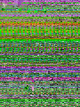 kHatsune webcam