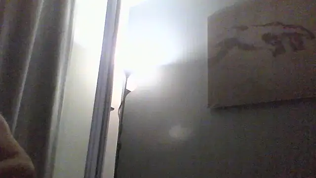 Avamereandmikel webcam