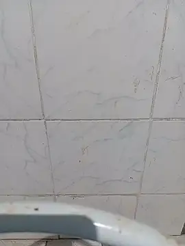 Dudasamp2 webcam