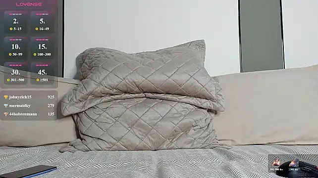 A_____________ webcam