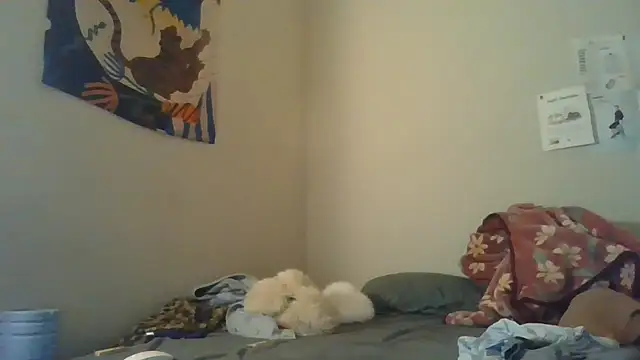 simechasi live cam room