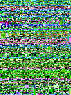 Talaxe_7 webcam