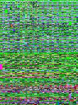 Adobe_Angel webcam