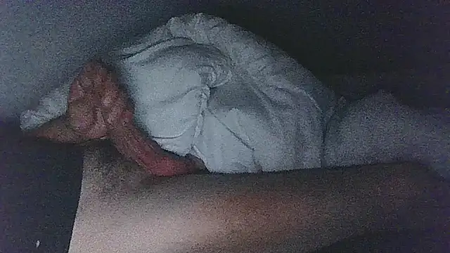 Patm3 live cam room