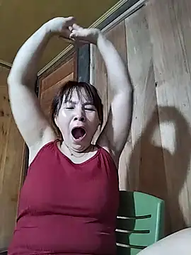 Biva11 webcam