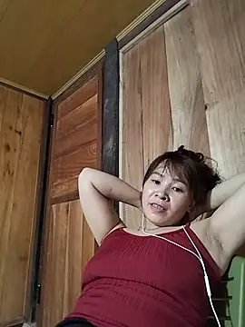 Biva11 webcam
