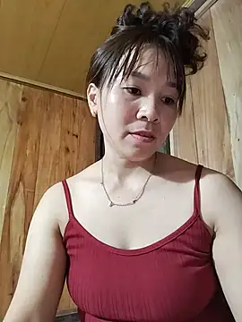 Biva11 webcam