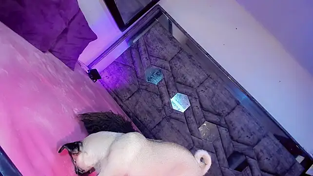 sex_stardollsex webcam