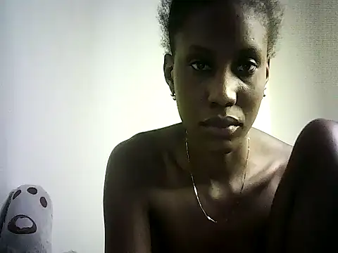 DelteAfriq webcam