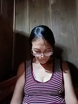toyo_668 webcam