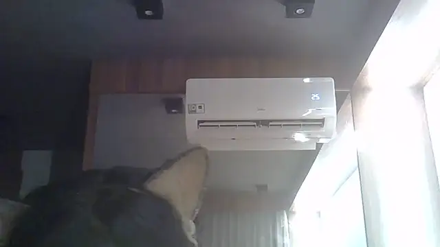 SkinnyKitten webcam
