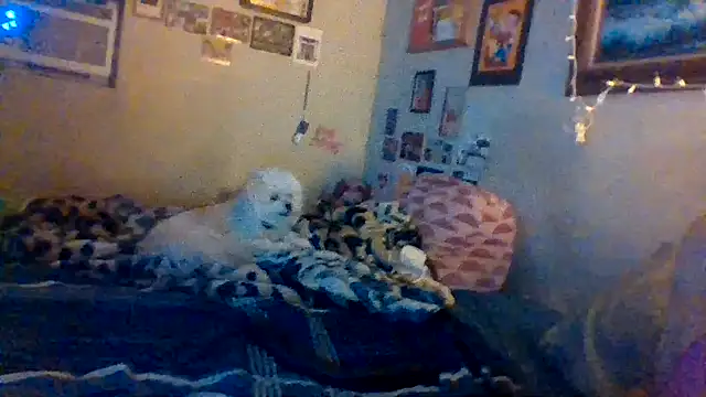 hornyrich69 webcam