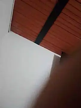 17CIEO webcam