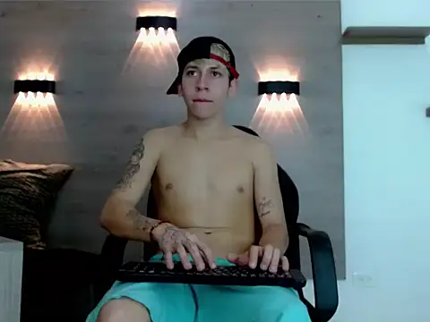 Gaeliitto webcam