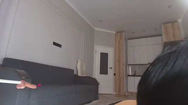 hangiho webcam