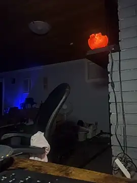 kitacat360 webcam