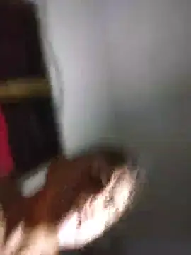 mexlog webcam