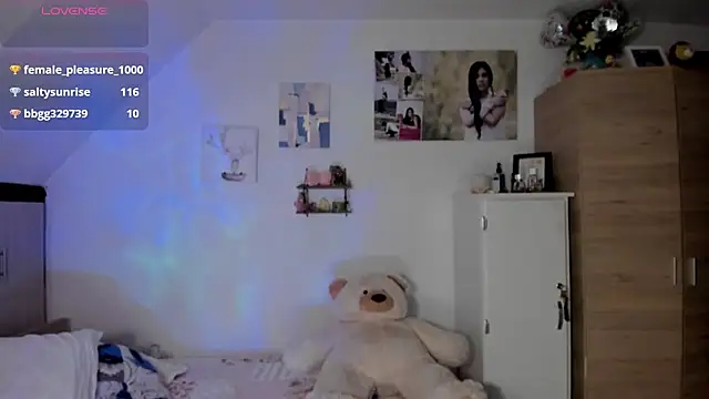Veronikolsen- webcam