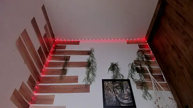 llanna_ live cam room