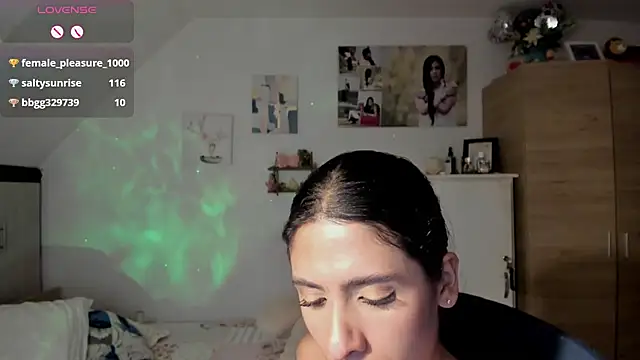Veronikolsen- webcam