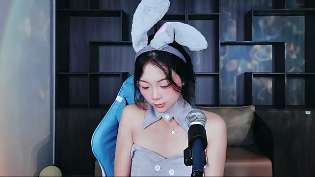 Lanmei01 webcam